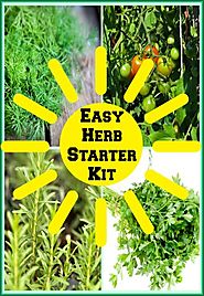 Easy Vegetable Herb Garden Kit Housewarming Gift • Seasons Charm