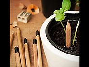 Eco Lápiz con Semillas Peru - Merchandising Ecológico Peru