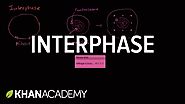 Interphase | Cells | MCAT | Khan Academy