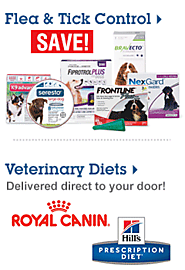 Save up to 30% on pet food & feeders Shop Now >