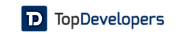 Top Web Developers & Software Development Companies in USA
