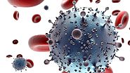 Se identifican tres nuevos anticuerpos controlan el VIH