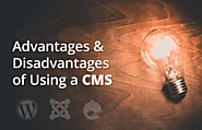 Advantages & Disadvantages of Using a CMS for Building Your Website