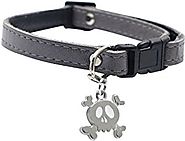 Dogit Leather Style Adjustable Dog Collar with Buckle and Pewter Skull Charm, 9-14-Inch, Gray