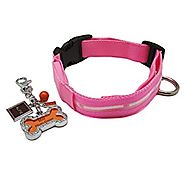 Alfie Pet by Petoga Couture - Kasey LED Flashing Pet Safety Collar with Photo Charm Keychain Set