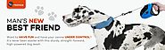 TaoTronics Retractable Dog Leash, 16 ft Dog Walking Leash for Medium Large Dogs up to 110lbs, Tangle Free, One Button...
