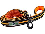 Bubba Paws Premium Comfort Dog Leash, Vibrant Color Accents and Reflective Safety Striping. High Quality, Durable Nyl...
