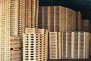 Facts That Make Plastic Pallets So Poplar In The Markets
