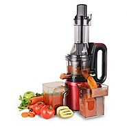 Best Masticating Juicer - Smart Masticating Juicer