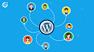 How WordPress Client Portal Can Help Your Business Thrive Exponentially?