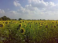 Freerange Stock | Free Stock Photos - Totally Free Commercial Photography and Textures