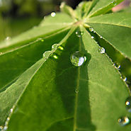 Gerard Saliot - CEO Of EAM Group Louis Gerard (1)