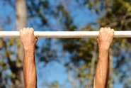 What Do Pullups Work Out?