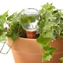 Amazon Best Sellers: best Plant Containers
