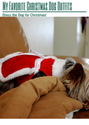My Favorite Christmas Dog Outfits: Dress the Dog for Christmas!