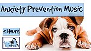5 Hours of "Anxiety Prevention" Music for Dogs and Pets. Fireworks and Storms - Problem Solved!