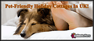 Pet-Friendly Cottages To Spend Wonderful Holidays In UK! | collectoffers.com