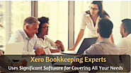 Xero Bookkeeping Expert Uses Significant Software for Covering All Your Needs
