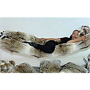 Coyote Fur Hammock