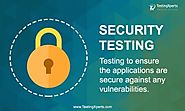 Software Security Testing: Detecting the Defects Early