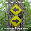 Semantic Search - removing the confusion