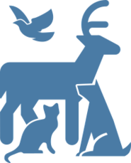 Italian Vocabulary - LanguageGuide.org
