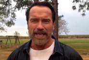 Arnold Schwarzenegger Awesomley Recites Fan-Chosen Lines From His Movies