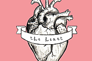 The Heart