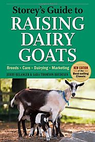 Storey's Guide to Raising Dairy Goats, 4th Edition: Breeds, Care, Dairying, Marketing