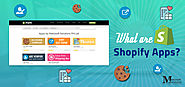Shopify Apps Development Company | Shopify Experts | Metizsoft