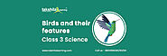 CBSE Class 3 Science Birds and their features Notes and Videos