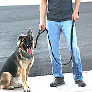 The 10 Best Tactical Dog Leash in 2018 - For Walks and Outdoors