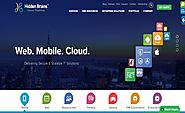 Hidden Brains: Top Web & Mobile App Development Company in USA & India