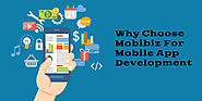 10 Good Reasons To Choose Mobibiz For Mobile App Development - Latest News, Trends, Updates on Mobile App development