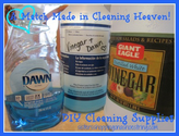 Cleaning Dream Team: Vinegar and Dawn
