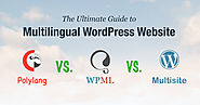 The Ultimate Guide to Multilingual WordPress: WPML VS Polylang VS Multisite - Pojo Blog