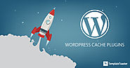 Improve Performance of your WordPress Website - TemplateToaster Blog