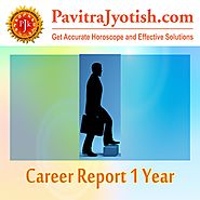 Career Report 1 Year