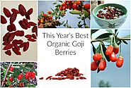 Top 5 Organic Goji Berries 2017