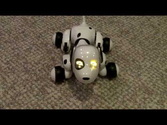 Zoomer The Interactive Robotic Pet. Hands-On Review of The Zoomer Dog From Spin Master