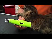 Demonstration: Furminator Nail Trimmer and Nail Grinder for Cats