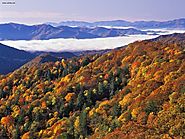 Great Smoky Mountains National Park, North Carolina
