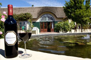 The Wine Route... need we say more?