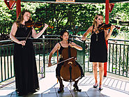 Wedding Music In South Coast Available For Hire