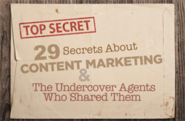 29 Secrets of Content Marketing