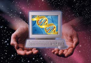 The DNA Chips for Advanced Computing