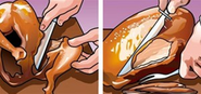 HowTo: Carve a Turkey the Infographic Way