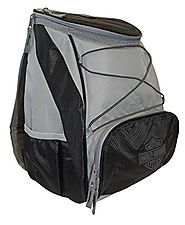 Picnic Time Harley Davidson PTX Cooler-Black