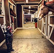 Its not what you look at, its what you see