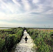 Live the life you imagined